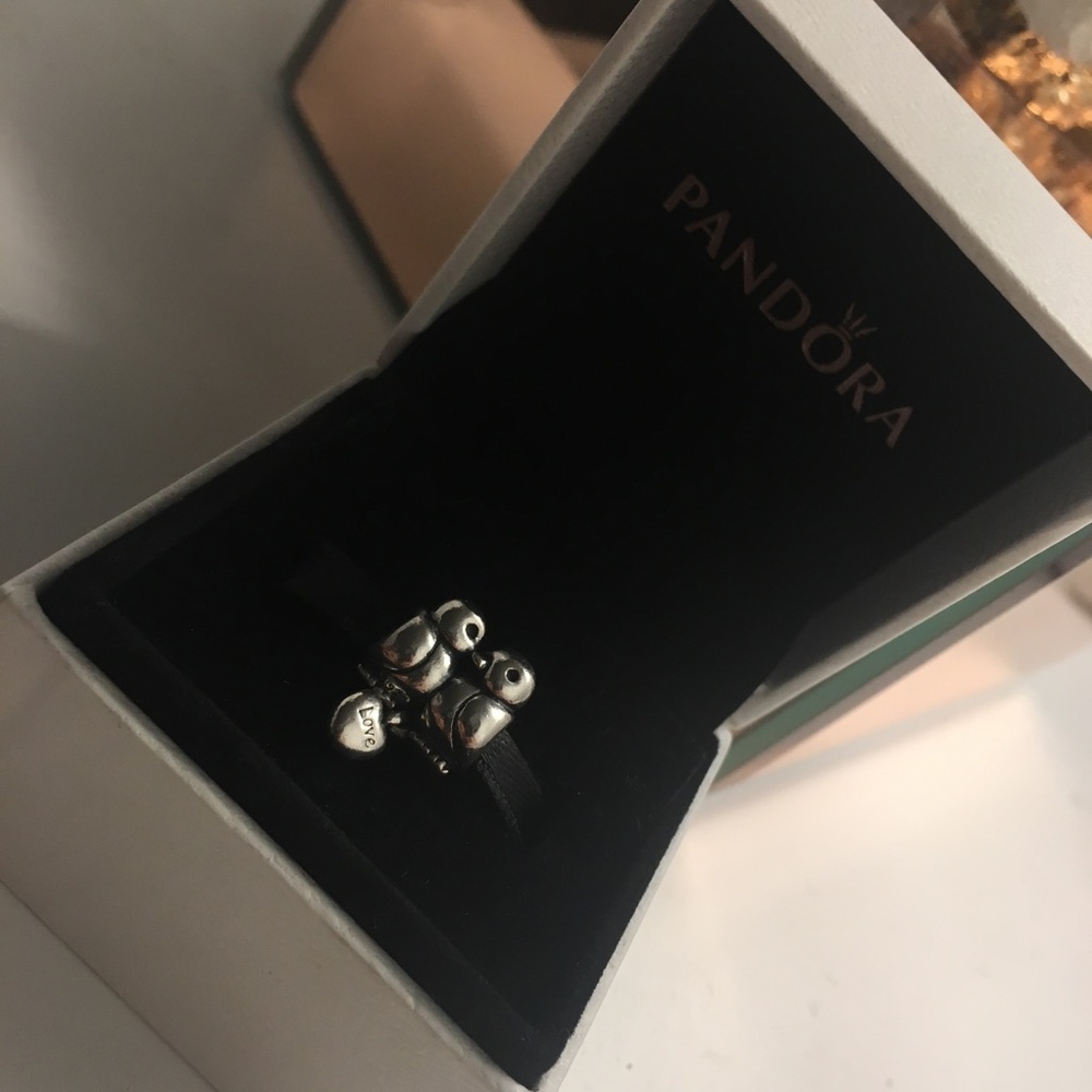 PANDORA LOVE BIRDS CHARM (RETIRED)